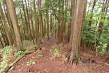 大和 城山城(龍口)の写真