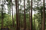 大和 城山城(龍口)の写真