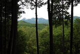 大和 城山城(龍口)の写真
