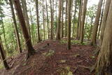 大和 城山城(龍口)の写真