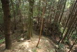 大和 龍王山城(北城)の写真