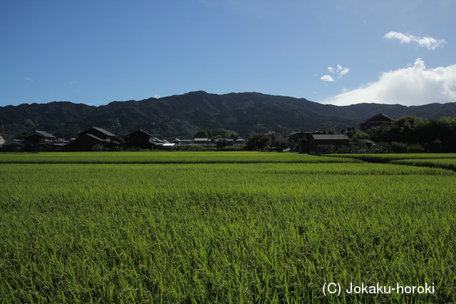 大和 龍王山城(南城)の写真