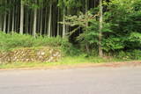 大和 誓多林城の写真