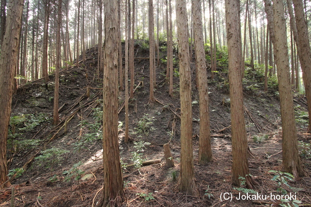 大和 信貴山城の写真