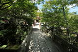 大和 信貴山城の写真