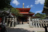 大和 信貴山城の写真