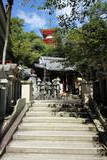 大和 信貴山城の写真
