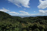 大和 信貴山城の写真