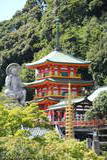 大和 信貴山城の写真