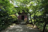 大和 信貴山城の写真