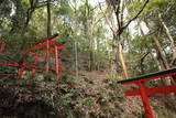 大和 信貴山城の写真