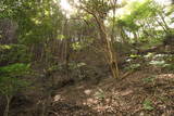 大和 信貴山城の写真