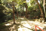 大和 信貴山城の写真