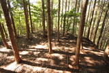 大和 信貴山城の写真