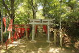 大和 信貴山城の写真