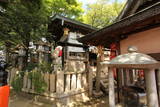 大和 信貴山城の写真