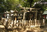 大和 信貴山城の写真