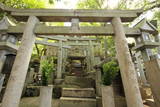 大和 信貴山城の写真