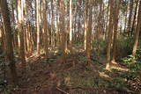 大和 信貴山城の写真