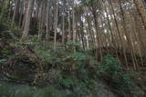 大和 信貴山城の写真
