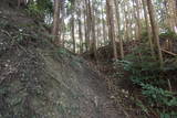 大和 信貴山城の写真