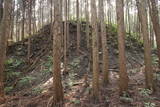 大和 信貴山城の写真