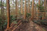 大和 信貴山城の写真