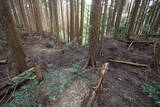 大和 信貴山城の写真