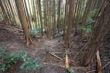 大和 信貴山城の写真