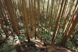 大和 信貴山城の写真