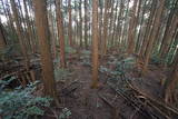 大和 信貴山城の写真