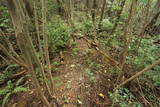 大和 信貴山城の写真