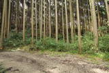 大和 信貴山城の写真