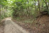 大和 信貴山城の写真