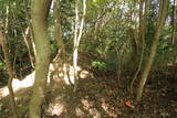大和 信貴山城の写真