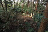 大和 信貴山城の写真