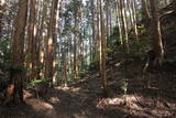大和 信貴山城の写真