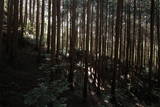 大和 信貴山城の写真