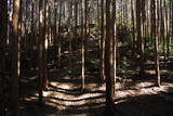 大和 信貴山城の写真