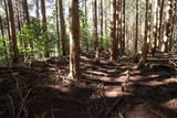 大和 信貴山城の写真