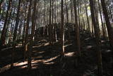 大和 信貴山城の写真