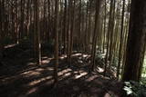 大和 信貴山城の写真