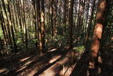 大和 信貴山城の写真
