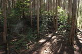 大和 信貴山城の写真