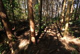 大和 信貴山城の写真