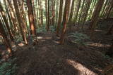 大和 信貴山城の写真