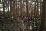 大和 信貴山城の写真