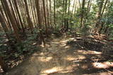 大和 信貴山城の写真