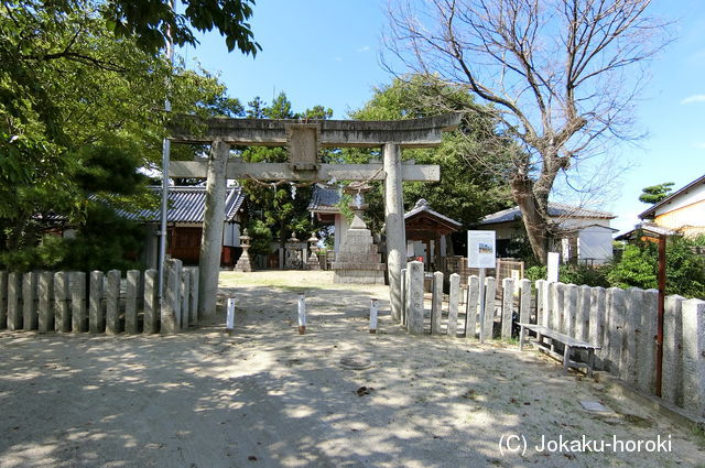 大和 下永城の写真