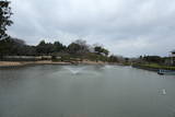 大和 新庄城の写真